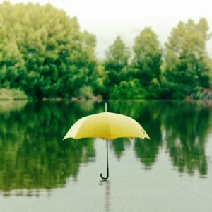 Folding umbrella