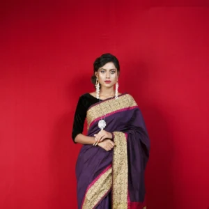 New season designer saree