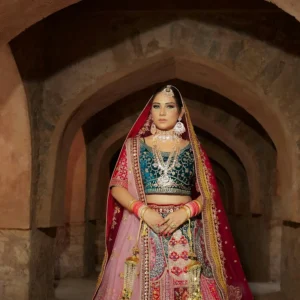 Party wear lehenga choli